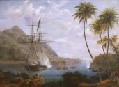 Wellin Beinecke Lesser Antilles Collection